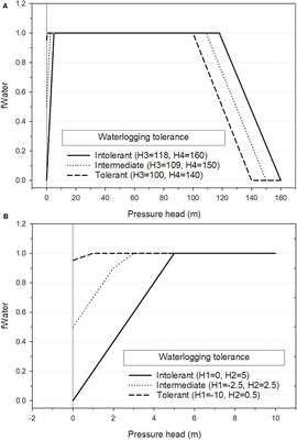 Simulating Growth and Competition on Wet and Waterlogged Soils in a Forest Landscape Model